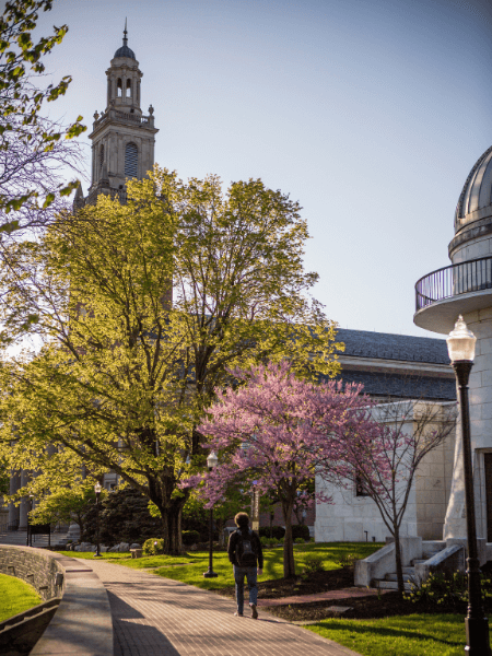 A student walking towards Swasey Chapel at dusk with blooming trees in the background